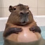 gerp