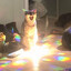 mycatisaportalto1997@aoi.com
