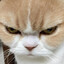 Wanneda's avatar