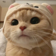 大明棋圣林心诚