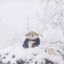 Корпус Алюминь's avatar