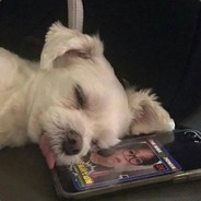 乔碧萝的小男友