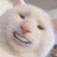 twitch/okkks_y