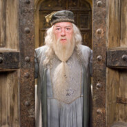 Albus Doubledoor