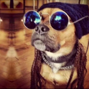 дашаверниськомне