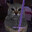 Cat Overlord