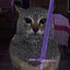 Cat Overlord