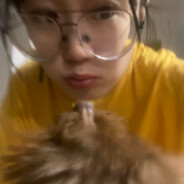 猪猪总裁