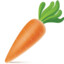 carrot