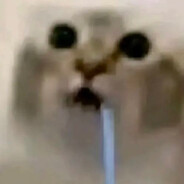 lostik