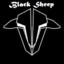 BlackSheep509