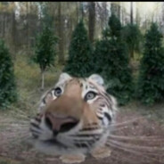 羊咩咩的游戏库