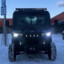 black beast