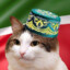 Жан Клод Мамдрал