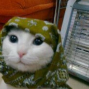 Erikli Kedi Steam avatar