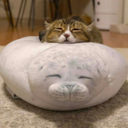 上门修机被业主暴打