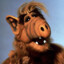 Alf