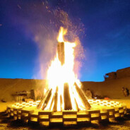 青青草原喜洋洋