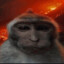 monke