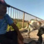 miraaa rubio