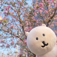 不吃猪肉（考研版）