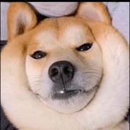 小毕老湿不码枪