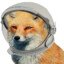 Space Fox