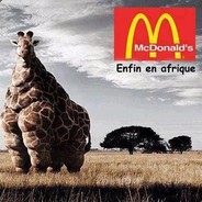 Pepitos - steam id 76561197968008982