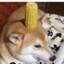 Truthofcheese