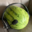 ROMA_IPOD
