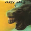 CrazyHorse