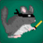 Chinchilla_Ninja