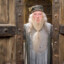 Albus Doubledoors