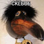 скебоб
