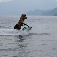 빡빡이뒤통수만지기