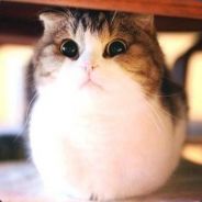 人不作死枉少年