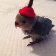 风吹裤衩鸡儿凉