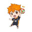 Hinata Shouyou