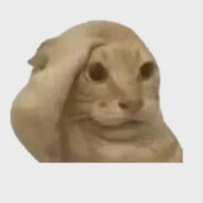 Koxzdzichu