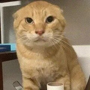 拉登是我干掉的