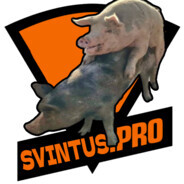 SVINTUS.PRO