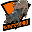 SVINTUS.PRO