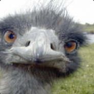Croown - steam id 76561197961875325