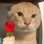 再压力就哈气了