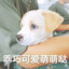 我爱拔草