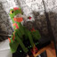 FuzzyTron345