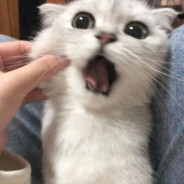 怕你突如其来的冷漠