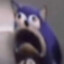 rat