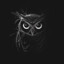 DarkOwl