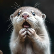 先RUSH，再玩手机